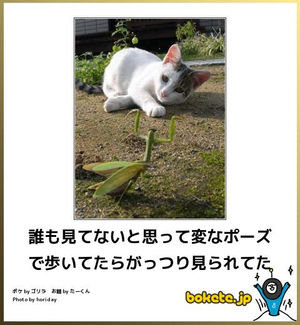 【年越し】雑談 スギちゃんみたいに喋るぜぇ2017~2018【シーズン19】