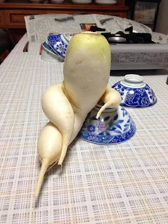 【年越し】雑談 スギちゃんみたいに喋るぜぇ2017~2018【シーズン19】