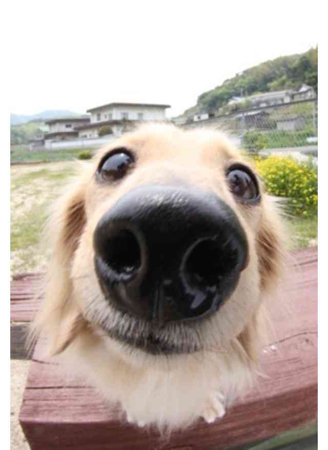 【年越し】雑談 スギちゃんみたいに喋るぜぇ2017~2018【シーズン19】