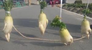 【年越し】雑談 スギちゃんみたいに喋るぜぇ2017~2018【シーズン19】