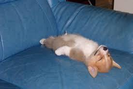 【年越し】雑談 スギちゃんみたいに喋るぜぇ2017~2018【シーズン19】