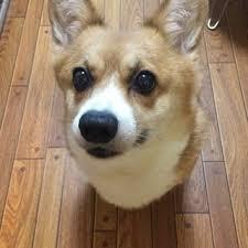 【年越し】雑談 スギちゃんみたいに喋るぜぇ2017~2018【シーズン19】