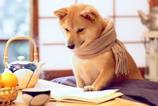 【年越し】雑談 スギちゃんみたいに喋るぜぇ2017~2018【シーズン19】