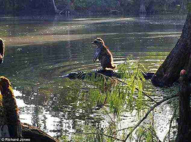 【年越し】雑談 スギちゃんみたいに喋るぜぇ2017~2018【シーズン19】