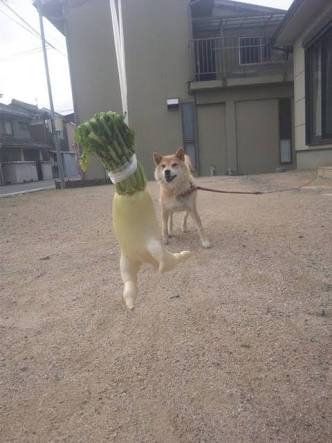 【年越し】雑談 スギちゃんみたいに喋るぜぇ2017~2018【シーズン19】