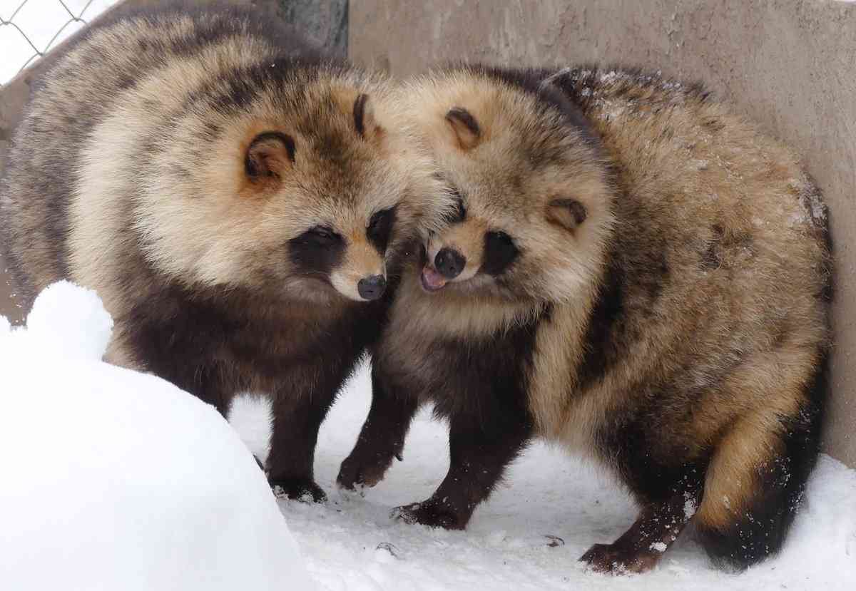 【年越し】雑談 スギちゃんみたいに喋るぜぇ2017~2018【シーズン19】