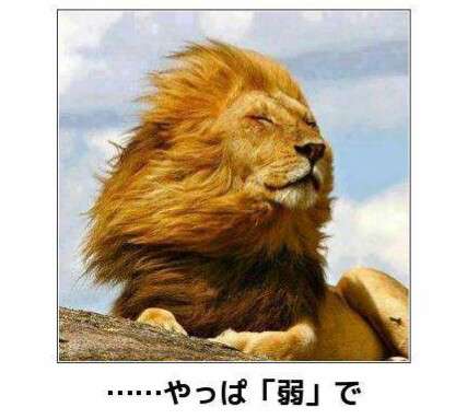 うお座の人集まれー！part5