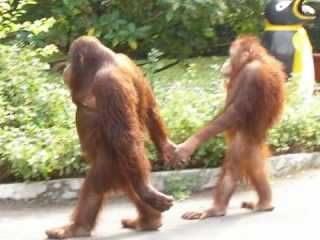 素敵な画像で癒されて月曜日を迎えたい