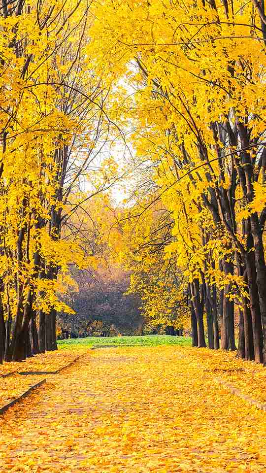 素敵な画像で癒されて月曜日を迎えたい