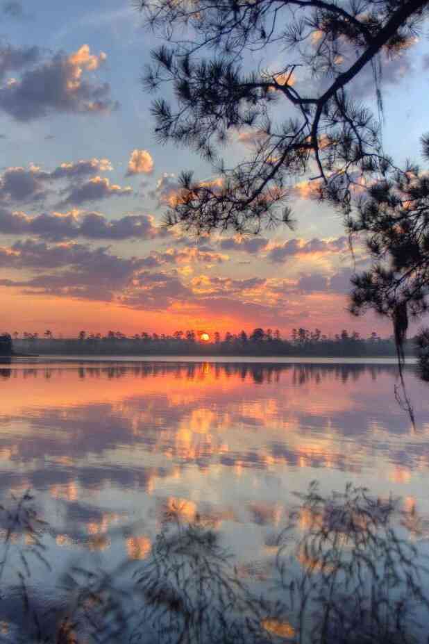 素敵な画像で癒されて月曜日を迎えたい