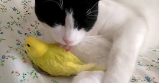 素敵な画像で癒されて月曜日を迎えたい