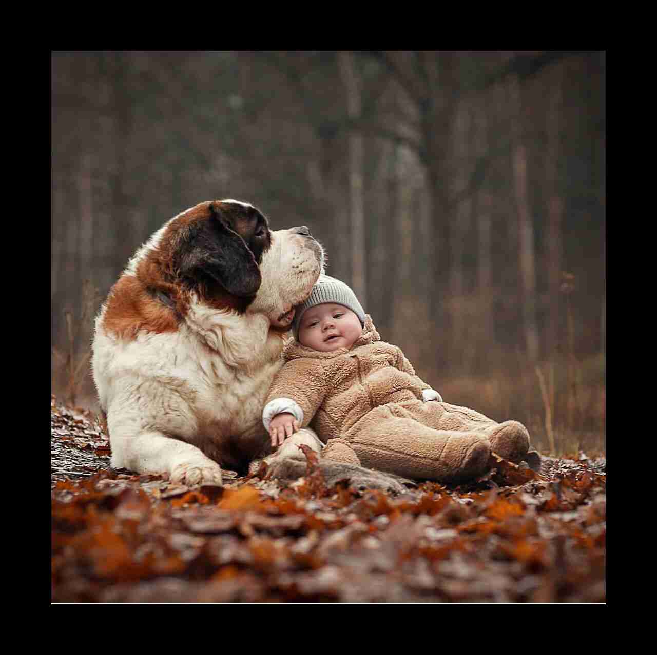 素敵な画像で癒されて月曜日を迎えたい