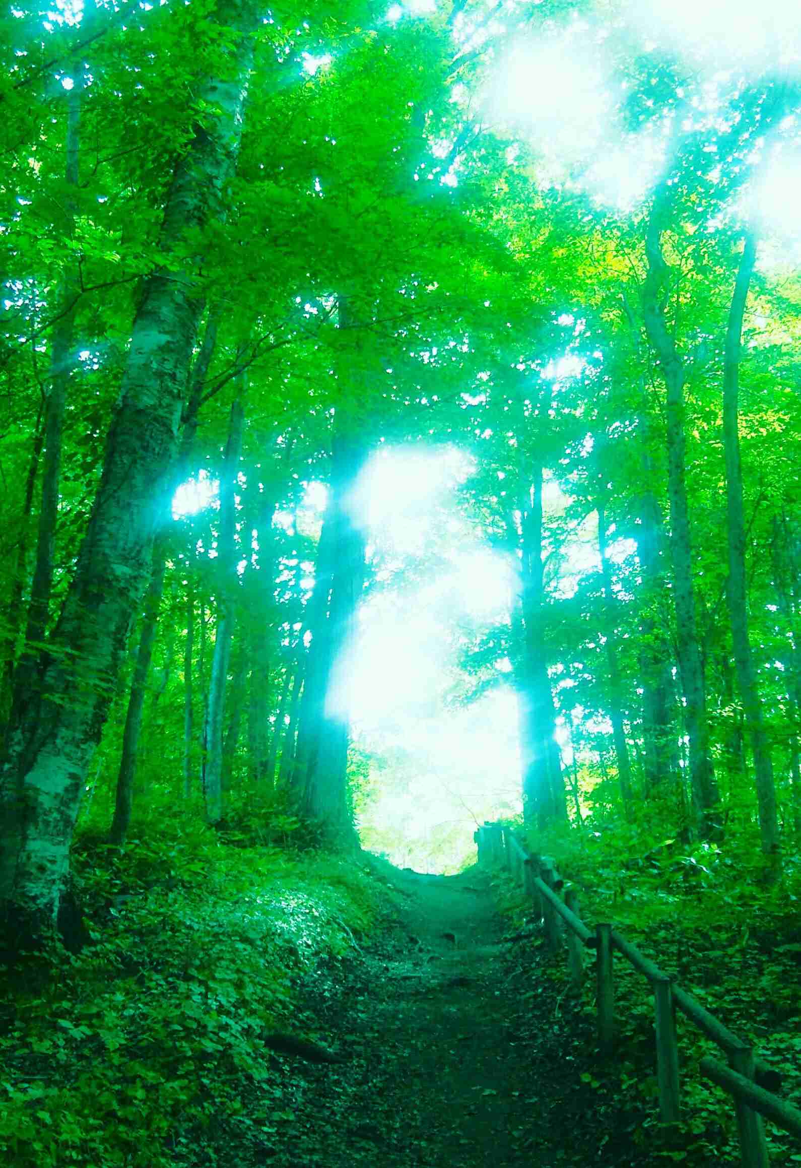 素敵な画像で癒されて月曜日を迎えたい