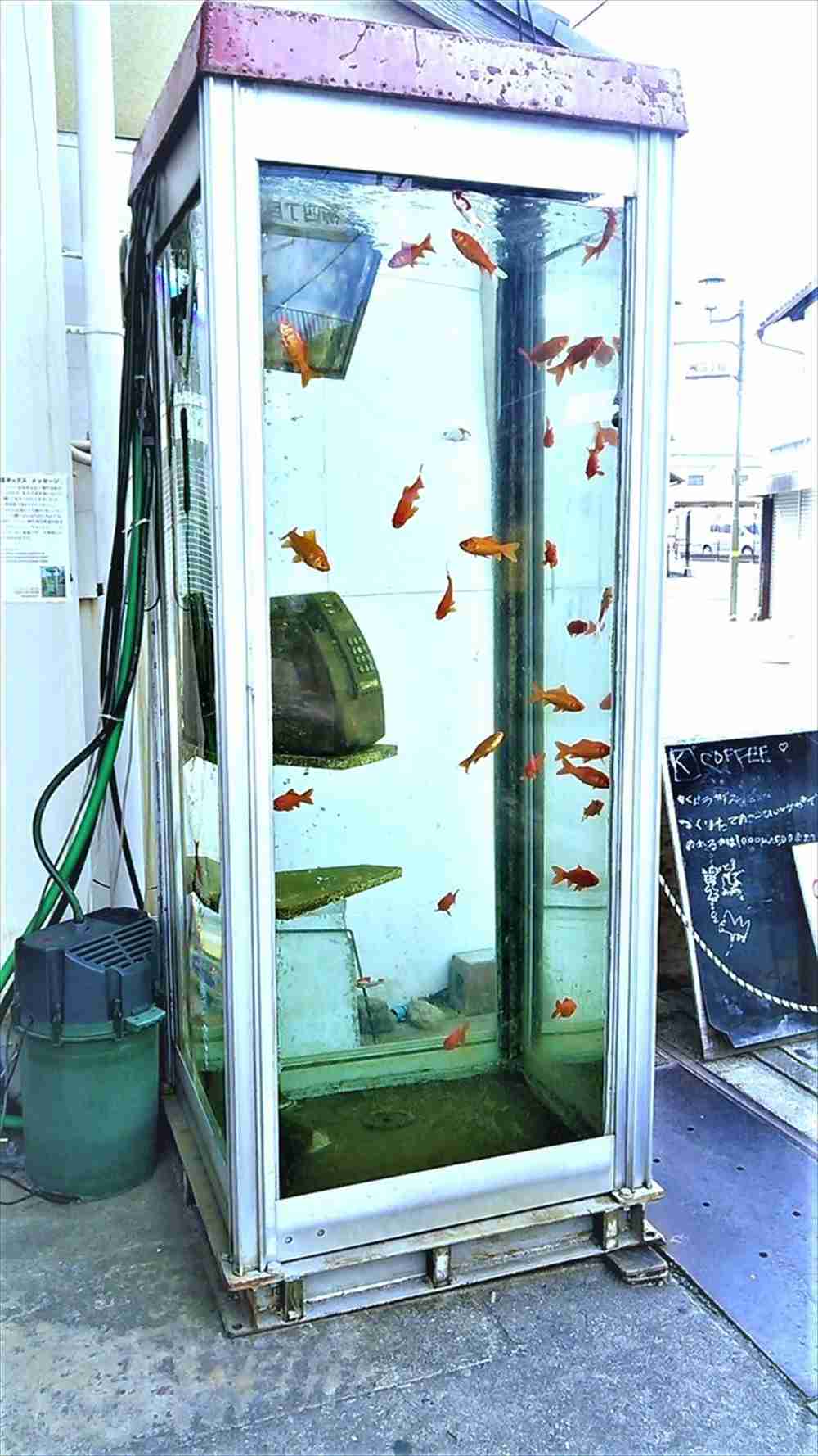 素敵な画像で癒されて月曜日を迎えたい