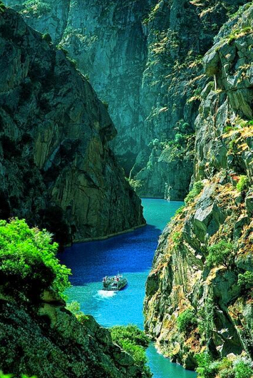 素敵な画像で癒されて月曜日を迎えたい