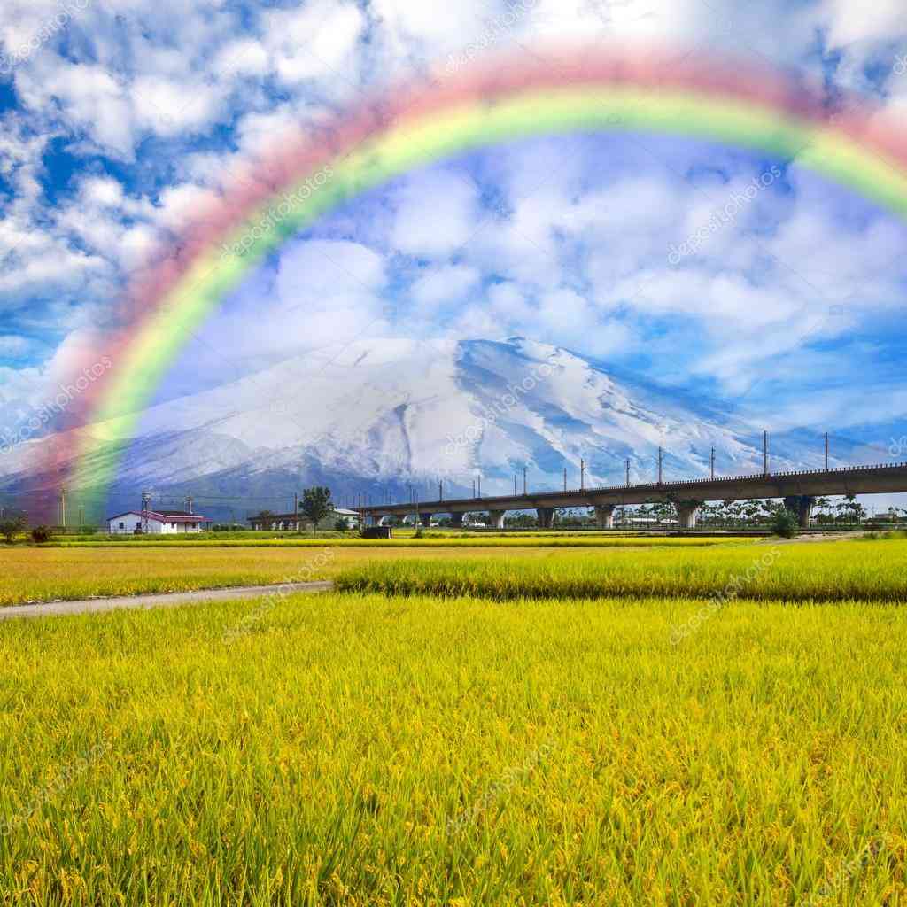 素敵な画像で癒されて月曜日を迎えたい