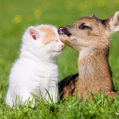 素敵な画像で癒されて月曜日を迎えたい