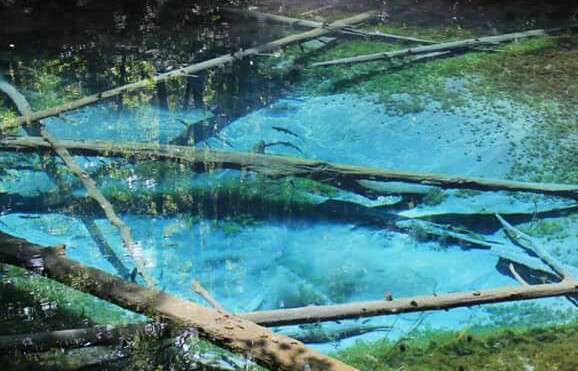 素敵な画像で癒されて月曜日を迎えたい