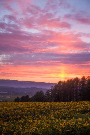 素敵な画像で癒されて月曜日を迎えたい