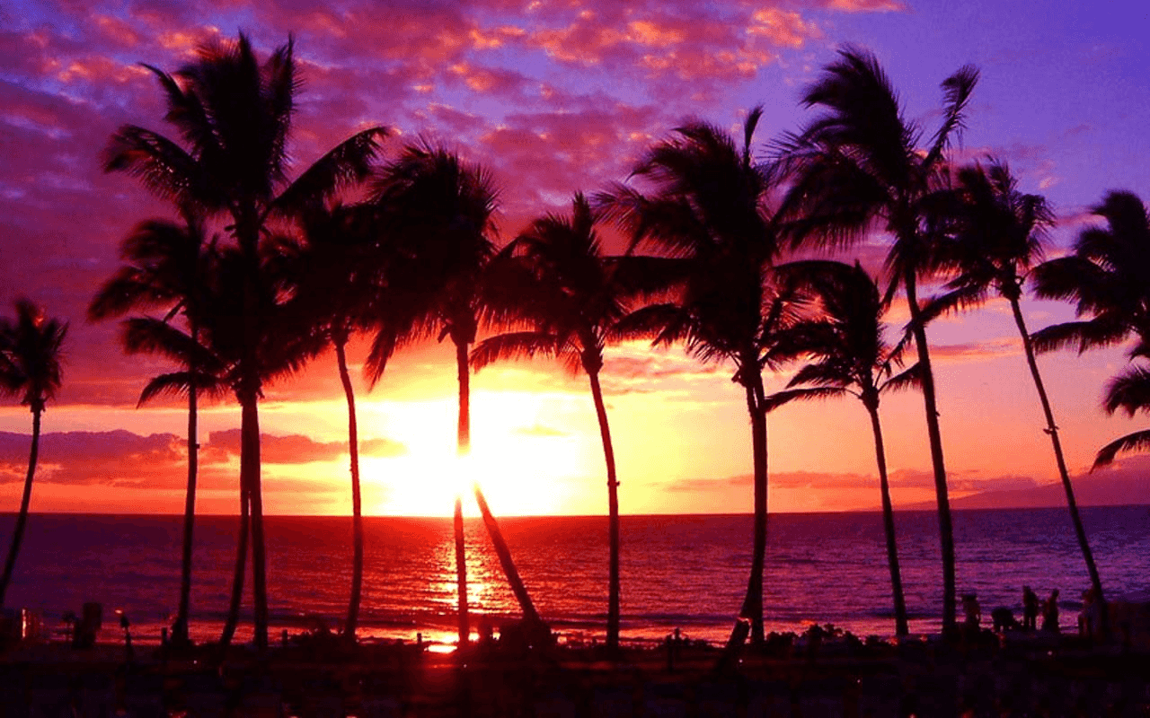 素敵な画像で癒されて月曜日を迎えたい