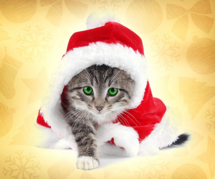 素敵な画像で癒されて月曜日を迎えたい