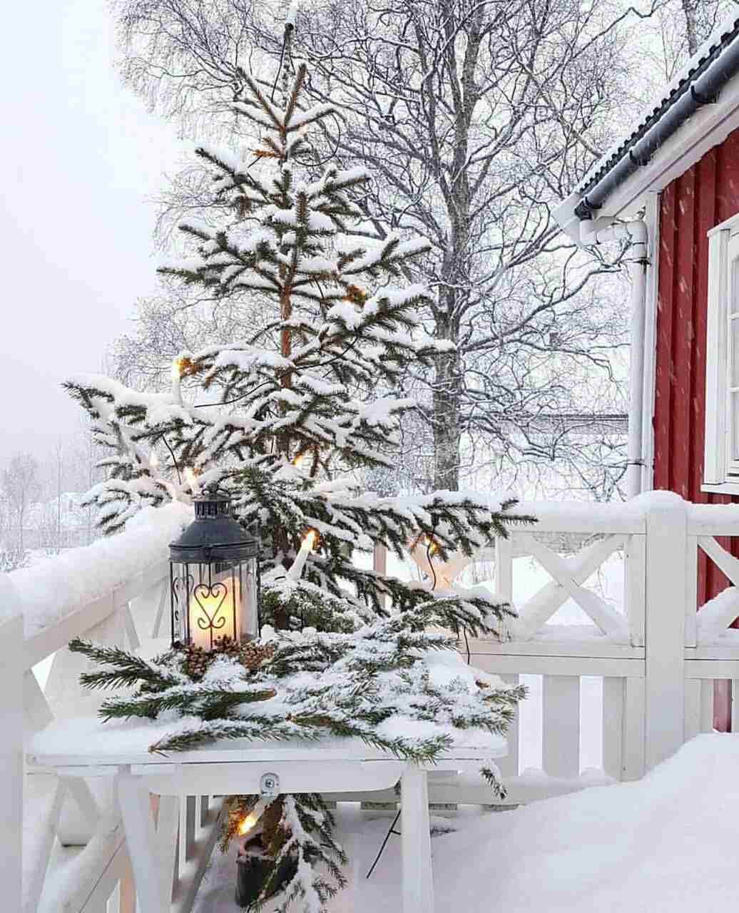 素敵な画像で癒されて月曜日を迎えたい