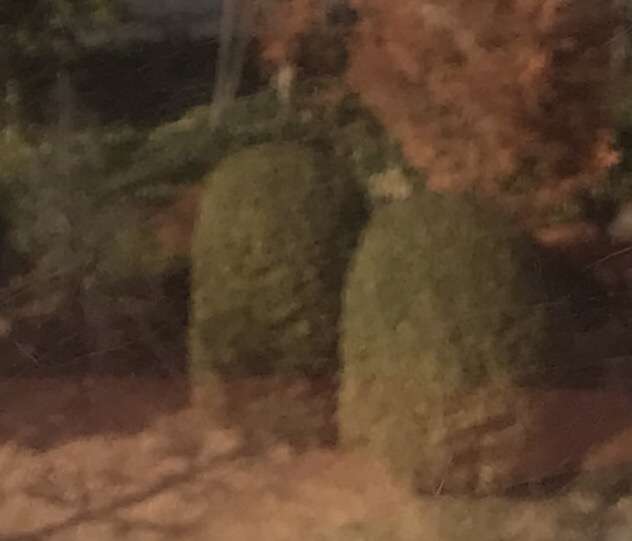 素敵な画像で癒されて月曜日を迎えたい