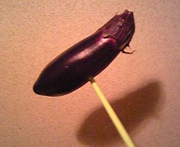 素敵な画像で癒されて月曜日を迎えたい