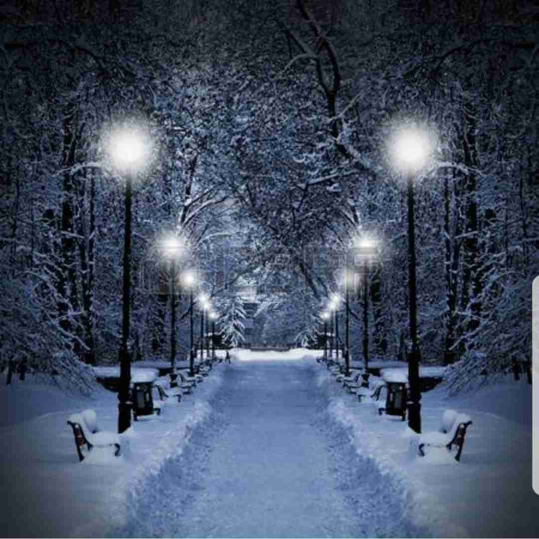 素敵な画像で癒されて月曜日を迎えたい