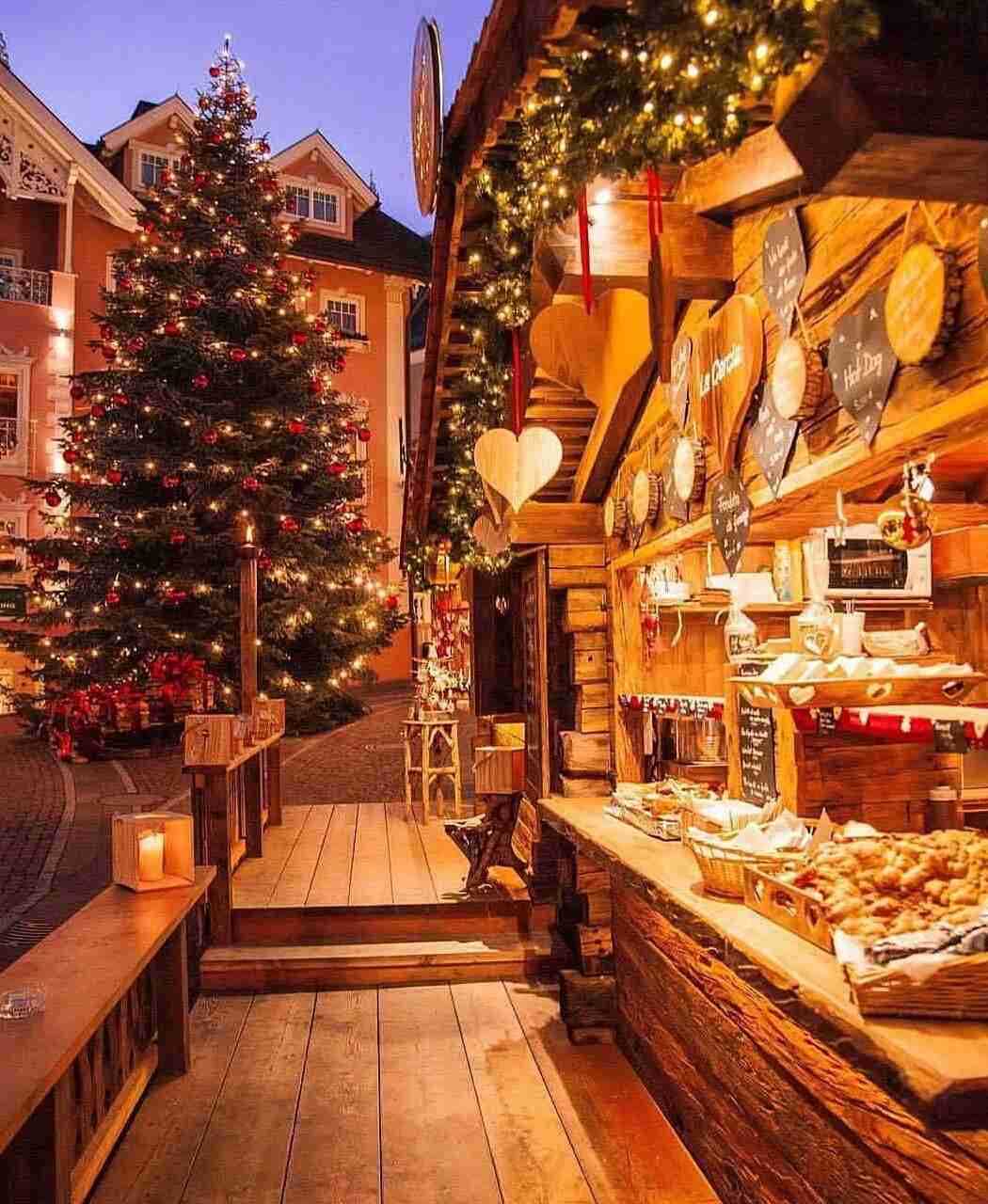 素敵な画像で癒されて月曜日を迎えたい