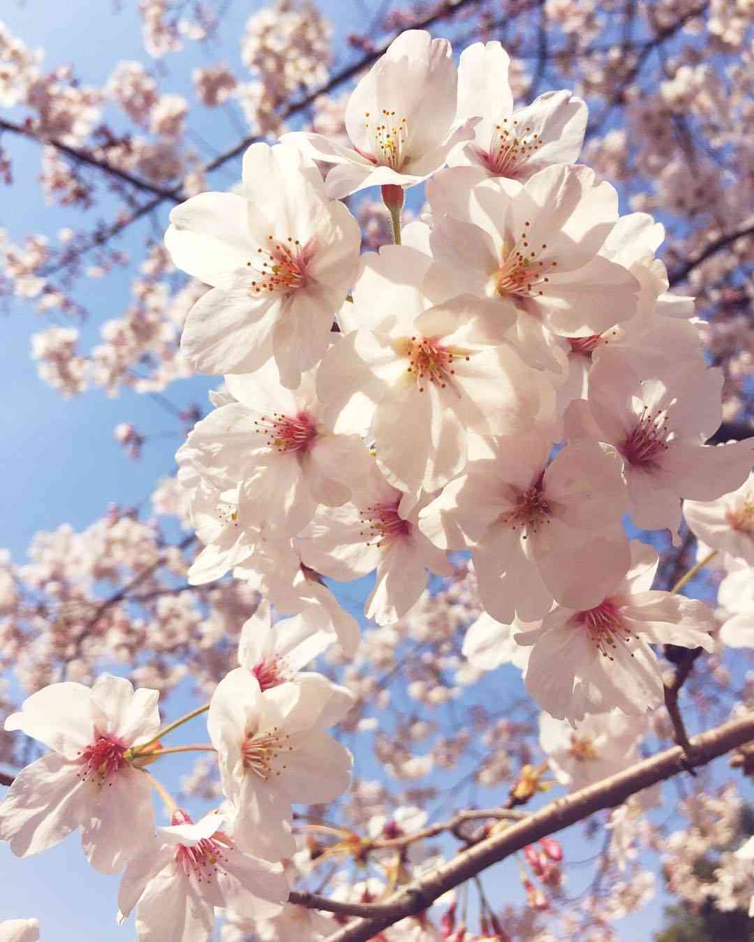 素敵な画像で癒されて月曜日を迎えたい