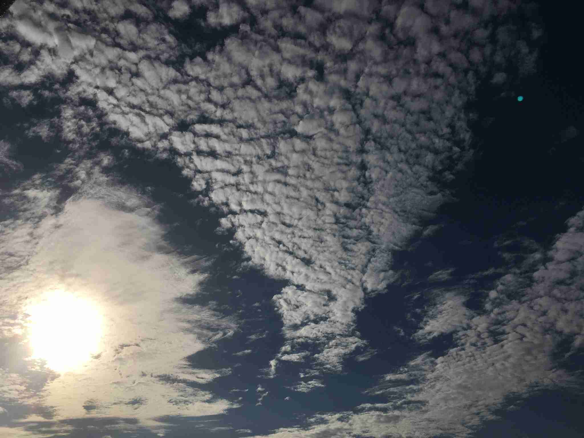 素敵な画像で癒されて月曜日を迎えたい