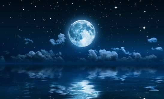 素敵な画像で癒されて月曜日を迎えたい