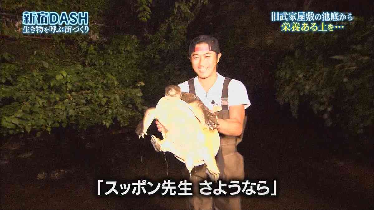 箸墓古墳隣接の「池の水抜く」放送中止 地元が協力断る