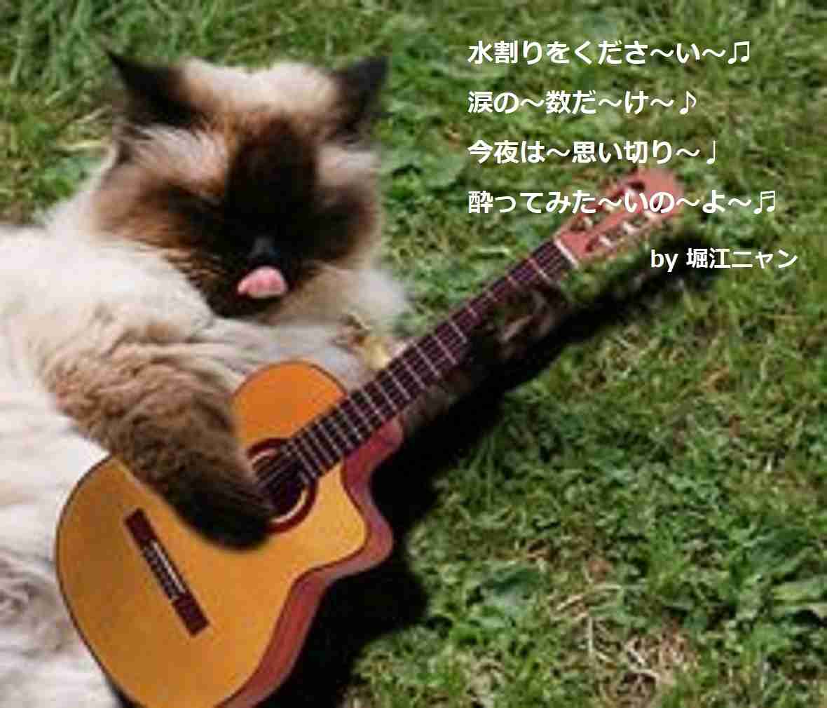 ガルちゃん猫カフェ21号店 開店しました♪ (初めての方も大歓迎！)