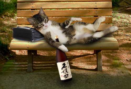 ガルちゃん猫カフェ21号店 開店しました♪ (初めての方も大歓迎！)