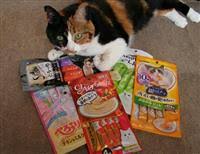 ガルちゃん猫カフェ21号店 開店しました♪ (初めての方も大歓迎!)