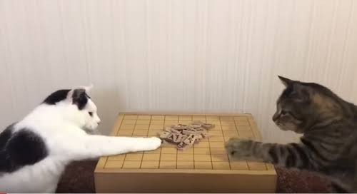 ガルちゃん猫カフェ21号店 開店しました♪ (初めての方も大歓迎！)