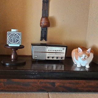 ガルちゃん猫カフェ21号店 開店しました♪ (初めての方も大歓迎！)