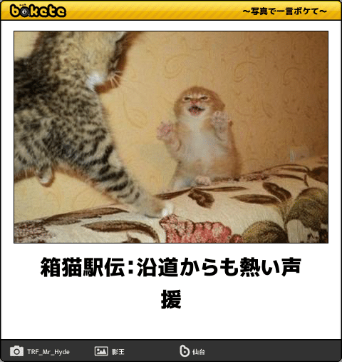 ガルちゃん猫カフェ21号店 開店しました♪ (初めての方も大歓迎!)