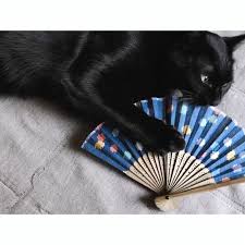 ガルちゃん猫カフェ21号店 開店しました♪ (初めての方も大歓迎！)
