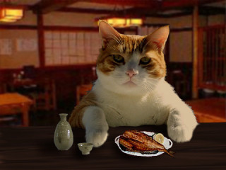 ガルちゃん猫カフェ21号店 開店しました♪ (初めての方も大歓迎!)