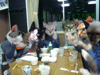 ガルちゃん猫カフェ21号店 開店しました♪ (初めての方も大歓迎!)