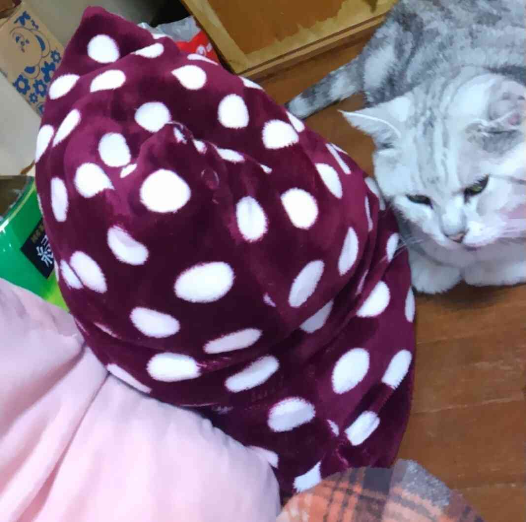 ガルちゃん猫カフェ21号店 開店しました♪ (初めての方も大歓迎！)
