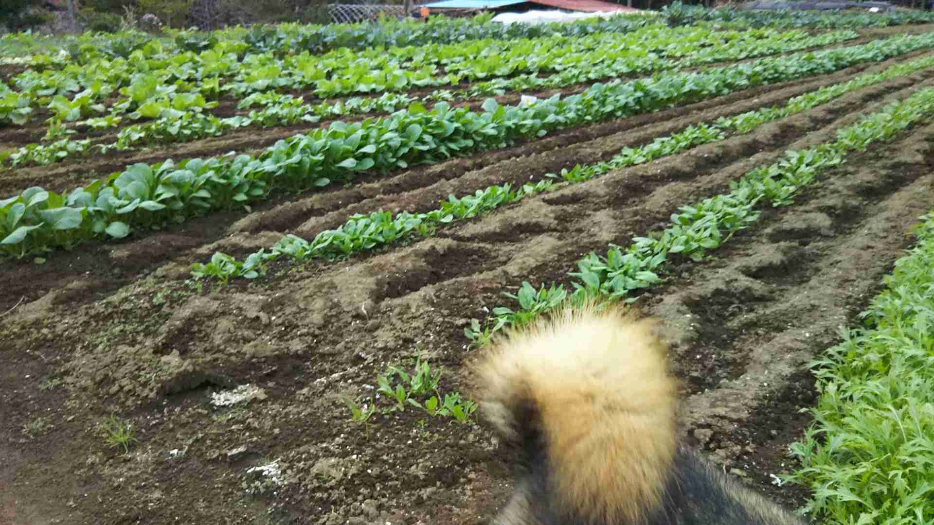 生活感溢れる写真☆part2