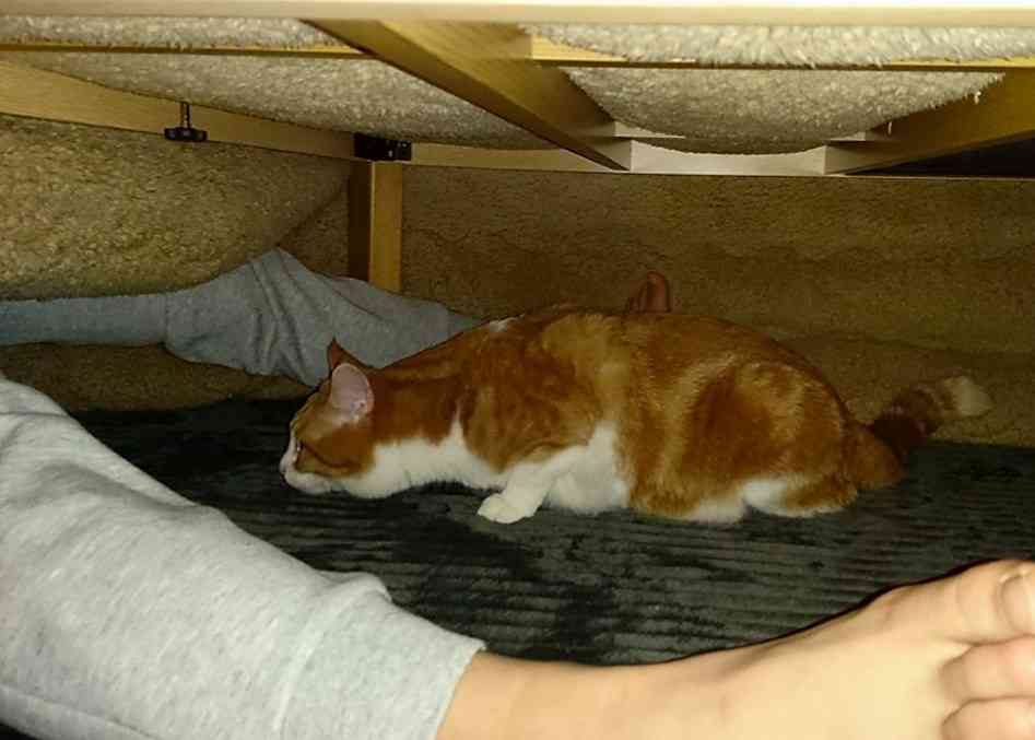 生活感溢れる写真☆part2