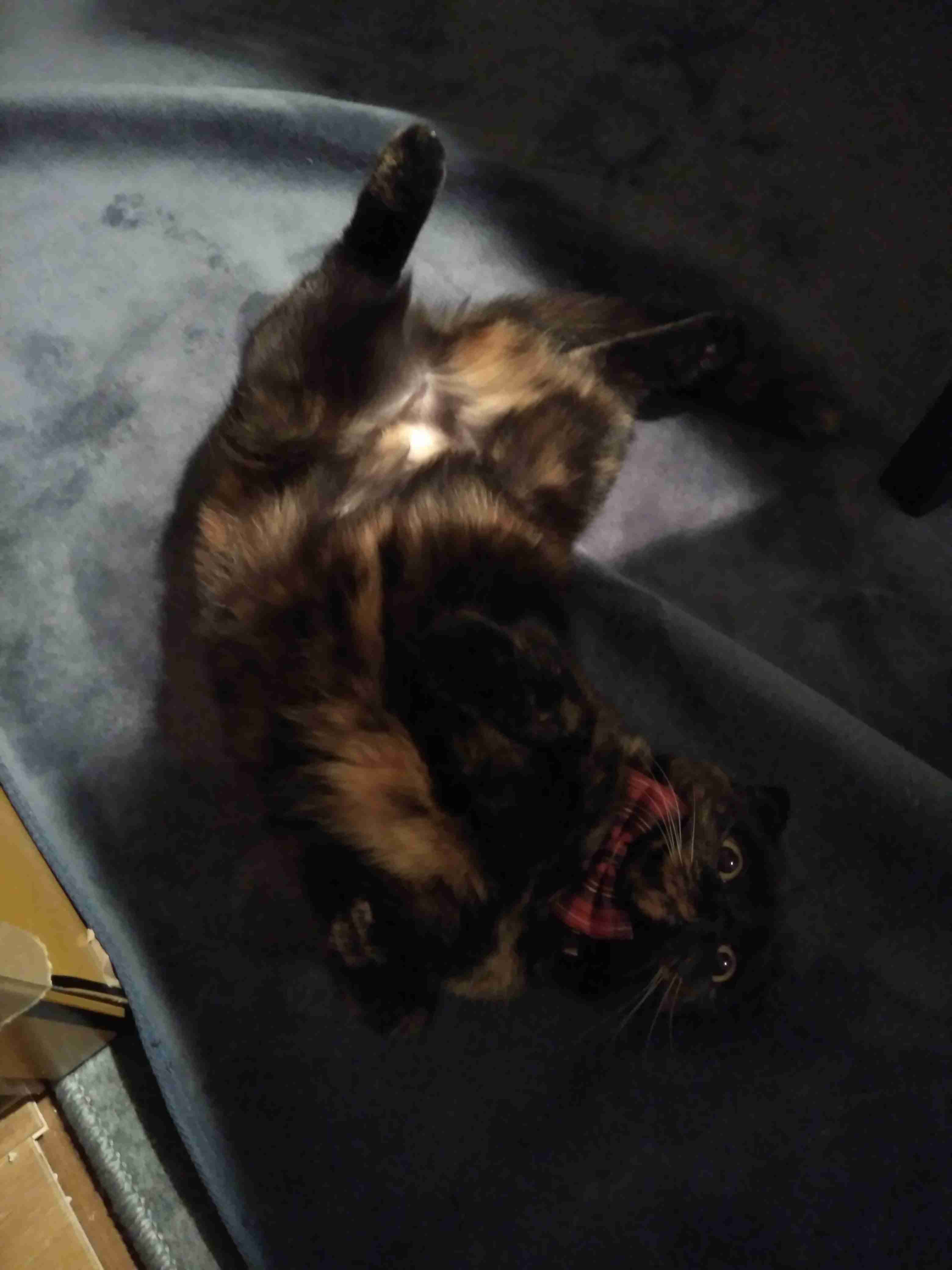 生活感溢れる写真☆part2