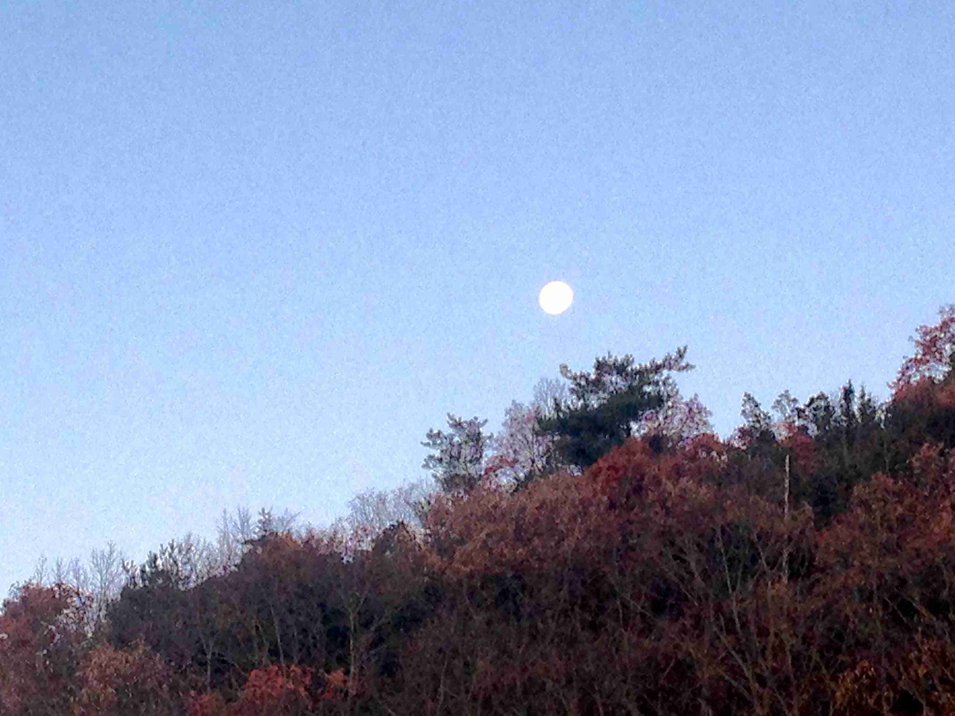 生活感溢れる写真☆part2