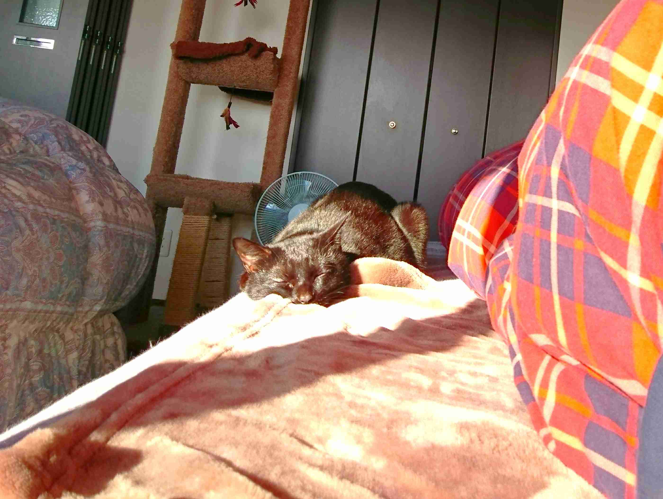 生活感溢れる写真☆part2