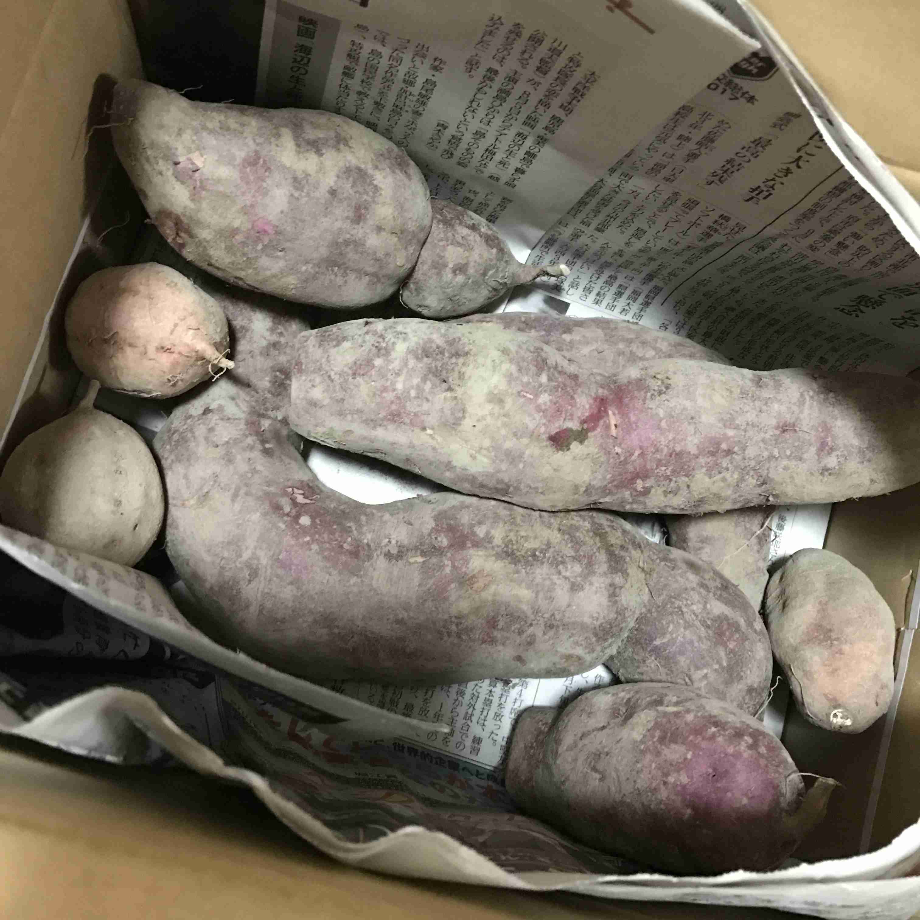 生活感溢れる写真☆part2